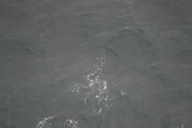 Missing Picture